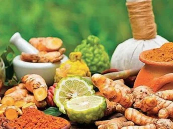 Holistic Wellness Approach_siddharvanam.com